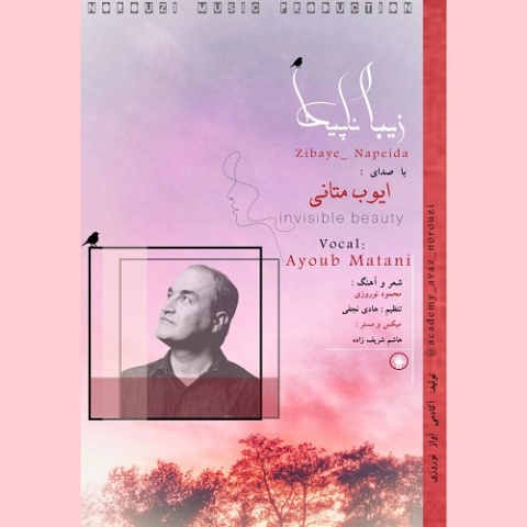 ایوب متانی زیبای ناپیدا