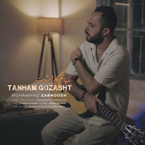 محمد زرنوش تنهام گذاشت