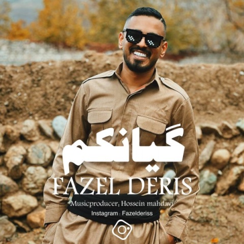 فاضل دریس گیانکم