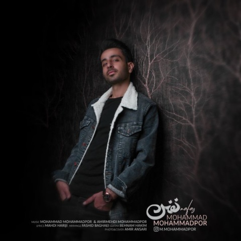 محمد محمدپور نفس