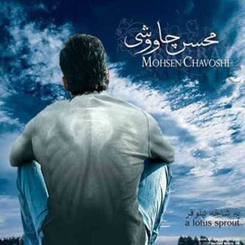 محسن چاوشی تبریک