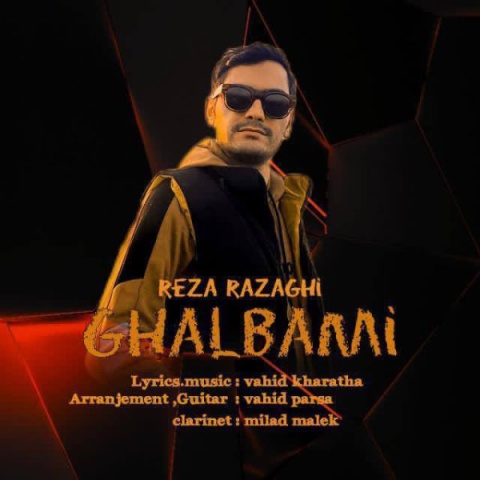 رضا رزاقی قلبمی