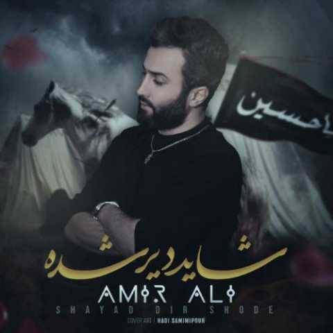 امیر علی شاید دیر شده