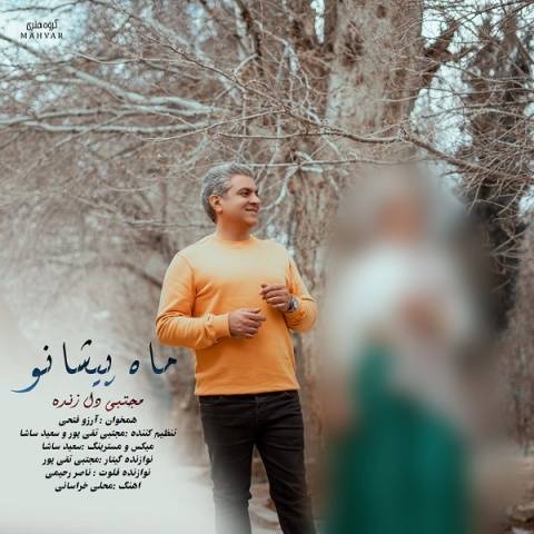 مجتبی دل زنده ماه پیشانو