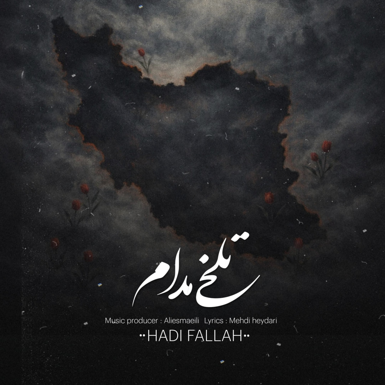 هادی فلاح تلخی مدام